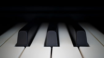Close-up of Piano Keys in Dramatic Low-Key Lighting