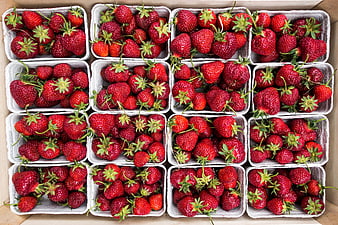 Top View of Fresh Strawberries in White Containers