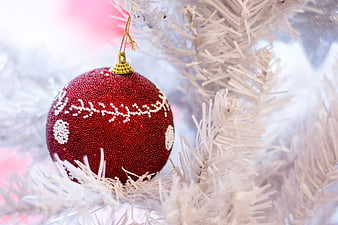 Red Glitter Christmas Ornament on White Tree Branch