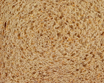 Close-up texture of sliced whole wheat bread crumb