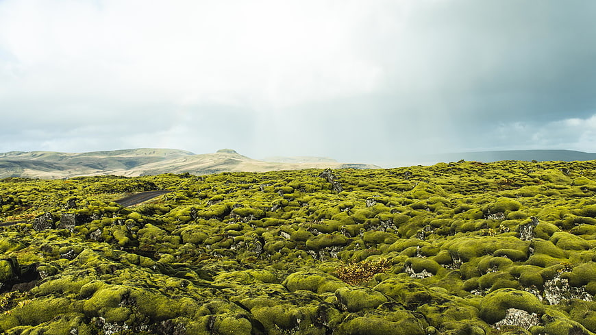 Vast Moss-Covered Lava Field Landscape Under Cloudy Sky