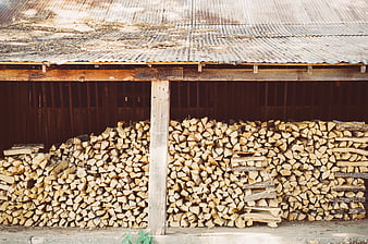Stacked Firewood Under Rustic Barn Roof