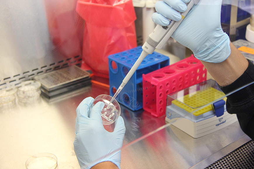 Scientist using pipette in laboratory research setting