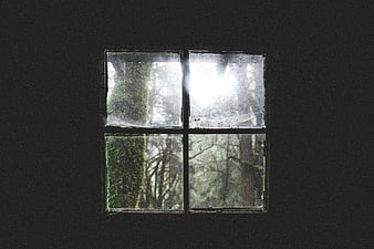 Old four-pane window looking out onto a misty forest