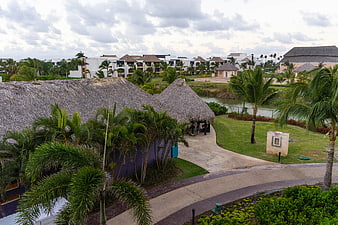 Tropical Resort with Thatched Roofs and Palm Trees
