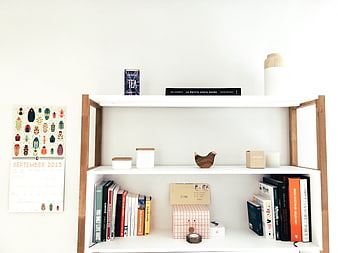 Minimalist White Bookshelf with Books and Decor