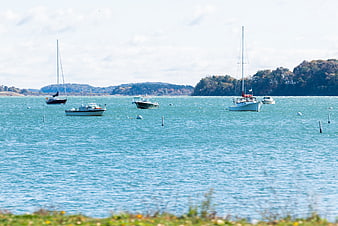 Sailboats and motorboats anchored in calm blue harbor water