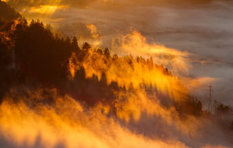 Golden Sun Rays Through Misty Mountain Forest at Sunrise