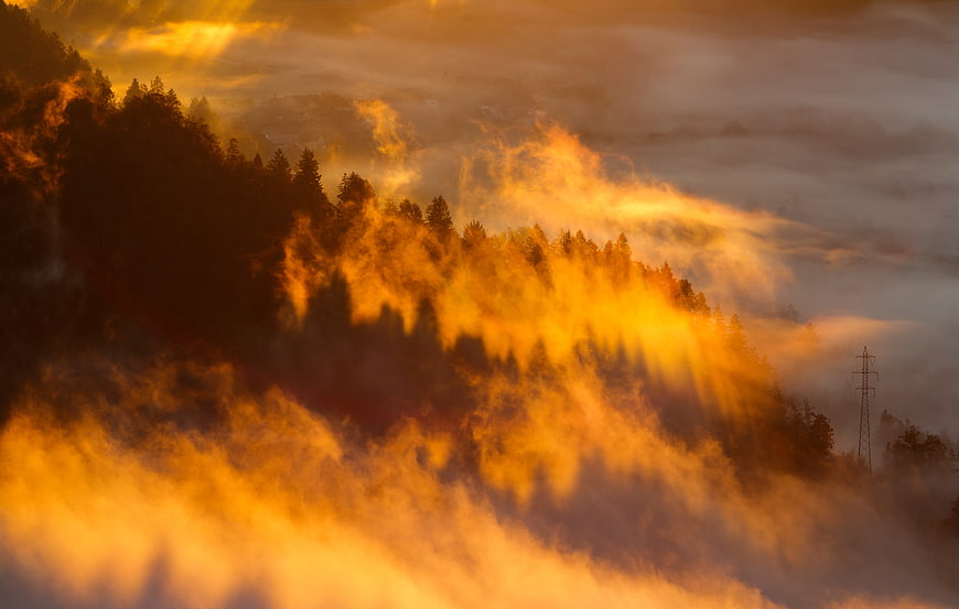 Golden Sun Rays Through Misty Mountain Forest at Sunrise