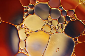 Abstract macro oil and water bubbles in warm amber tones