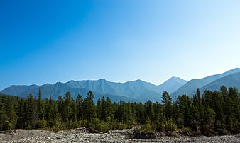 Scenic mountain range with pine forest and gravel foreground