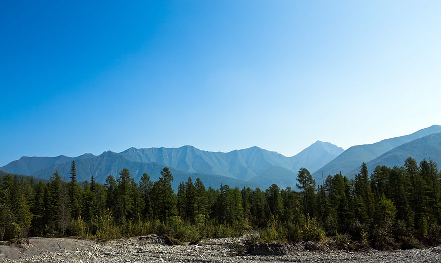 Scenic mountain range with pine forest and gravel foreground