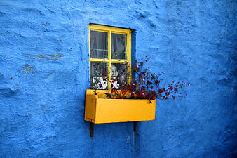 Yellow window with flowers on vibrant blue textured wall