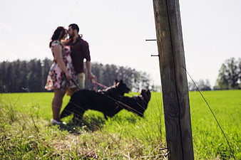 Couple Kissing with Dogs in Green Field