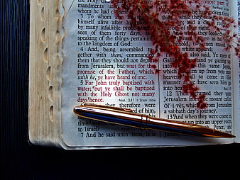 Vintage Bible Page With Gold Pen And Dried Red Flowers