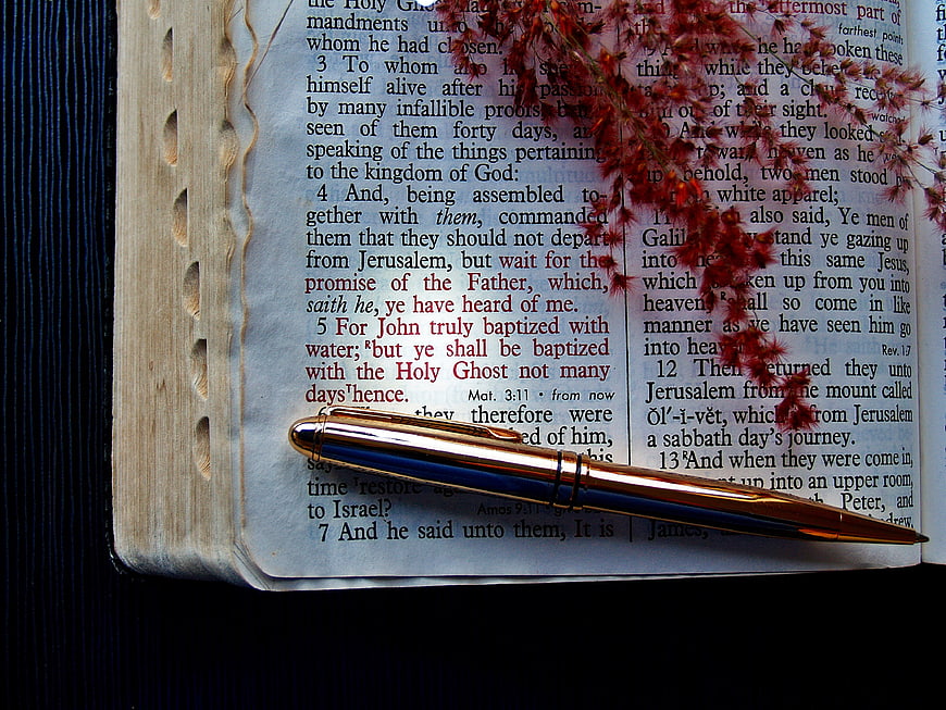 Vintage Bible Page With Gold Pen And Dried Red Flowers