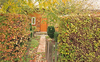 Rustic wooden cabin entrance framed by autumn foliage