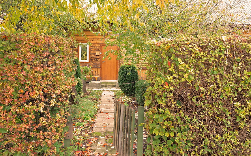 Rustic wooden cabin entrance framed by autumn foliage