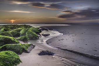 Mossy rocks on sandy beach at sunset with long exposure water