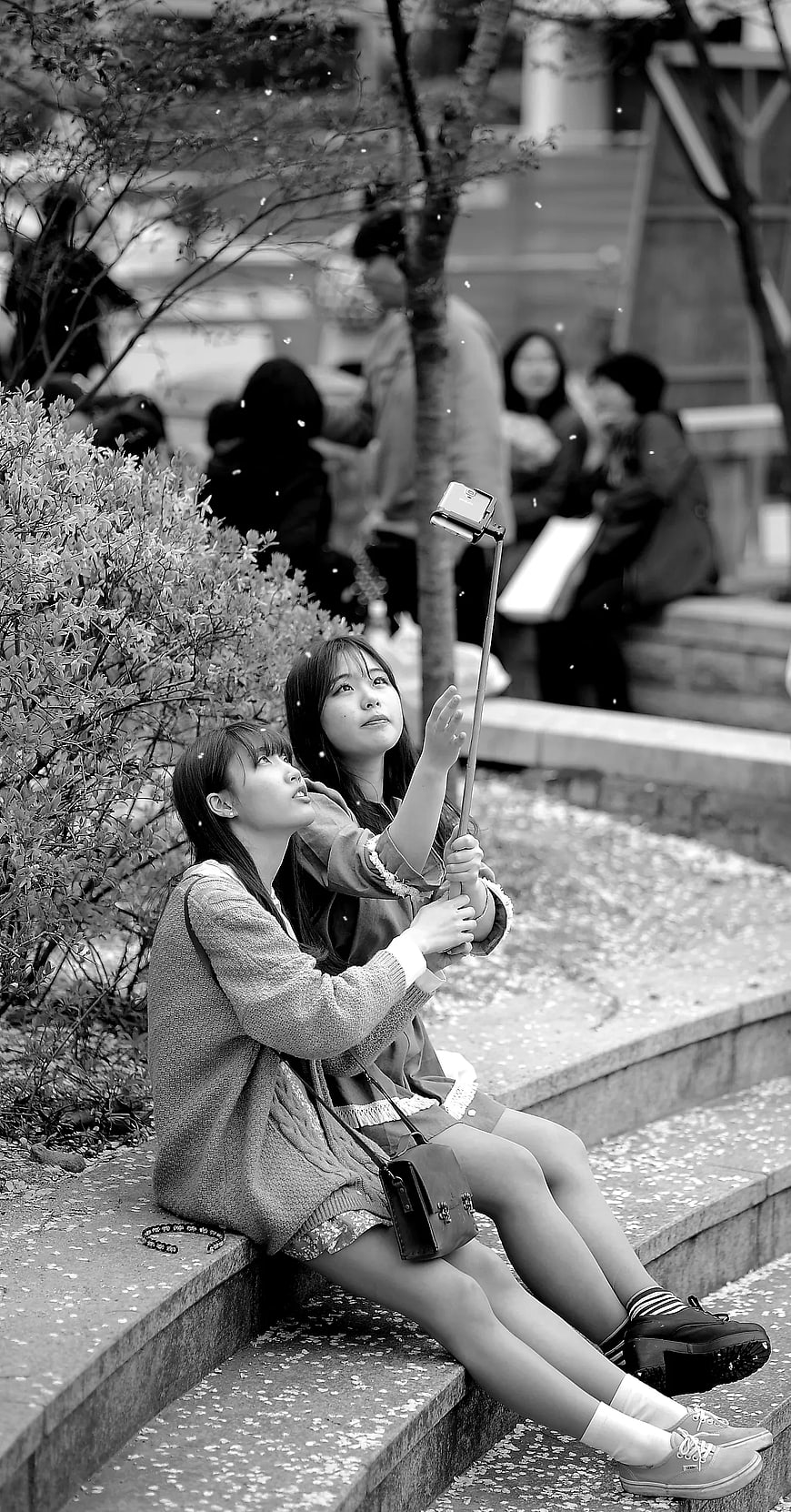 Two Young Women Taking Selfie with Selfie Stick on Steps