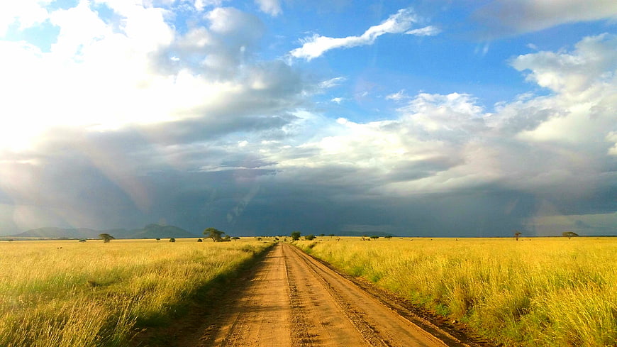Dirt Road Through Golden Savannah Under Dramatic Storm Clouds