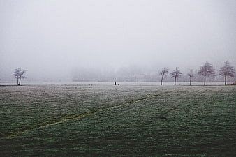 Frosty winter landscape with lone figure walking dog in fog