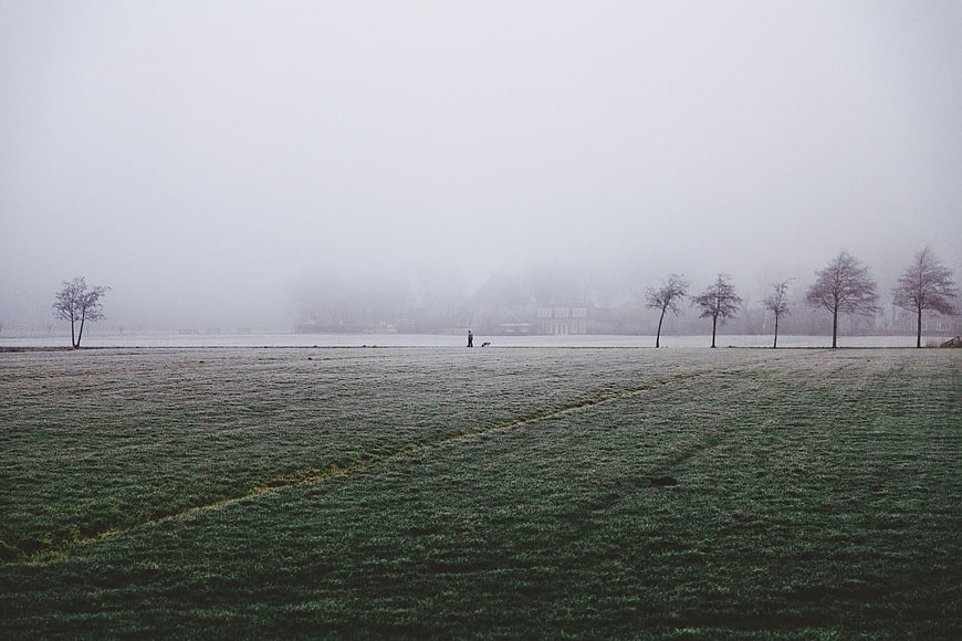Frosty winter landscape with lone figure walking dog in fog