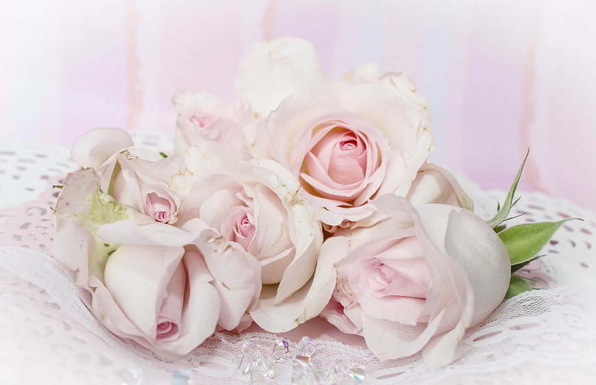 Vintage Pink Roses on Lace Tablecloth