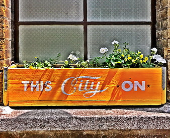 Orange wooden window box with flowers and text