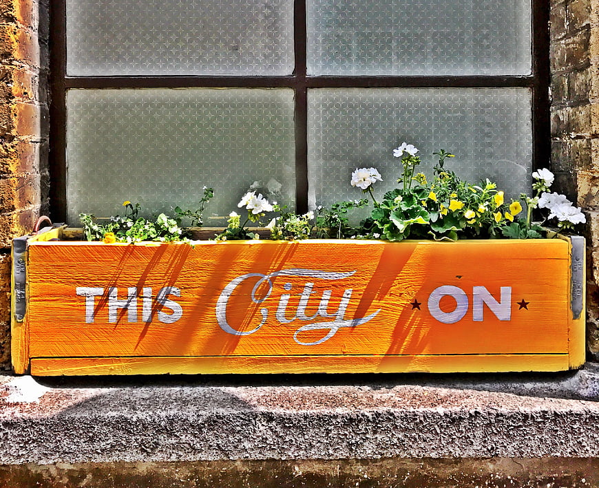Orange wooden window box with flowers and text