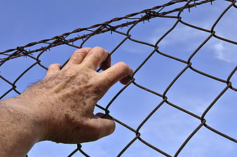 Man's Hand Gripping Chain Link Fence With Barbed Wire Against Blue Sky