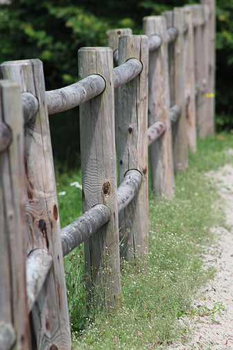 Weathered wooden fence with rustic poles in a garden