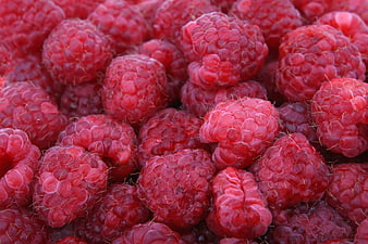 Close-up of fresh ripe red raspberries