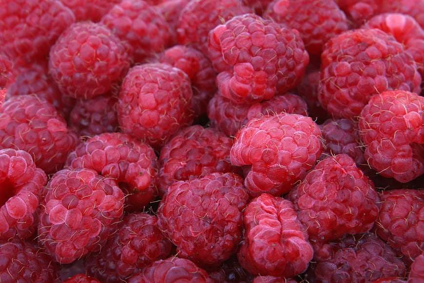Close-up of fresh ripe red raspberries