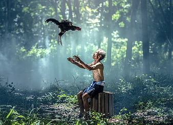 Senior man catching flying rooster in misty forest