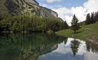 Serene Alpine Lake with Mountain Reflections and Pine Forest