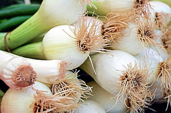 Fresh Spring Onions With Green Stalks And White Bulbs
