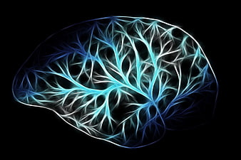 Abstract Glowing Blue Brain Neural Network Concept