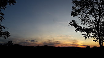 Silhouette of trees against a dramatic sunset sky