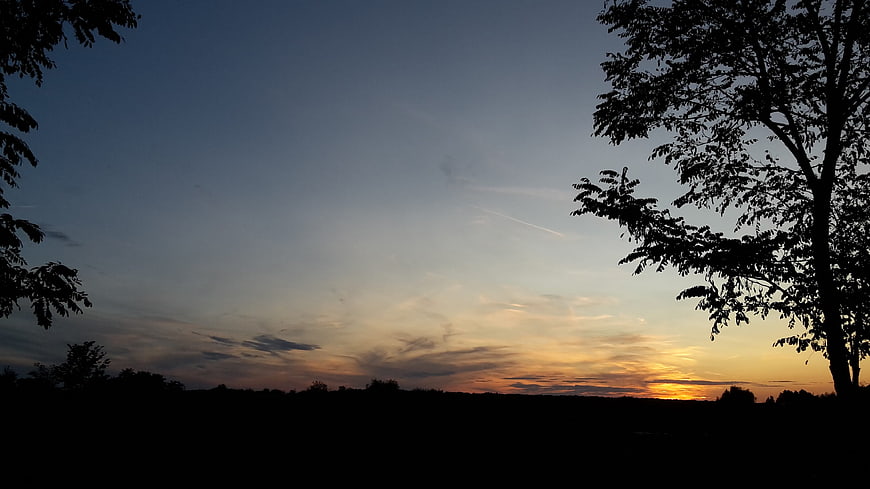 Silhouette of trees against a dramatic sunset sky