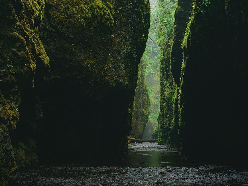 Mossy Rock Canyon with River and Misty Forest Light