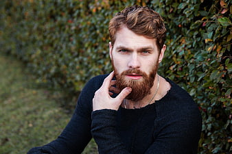 Portrait of Handsome Bearded Man in Black Sweater
