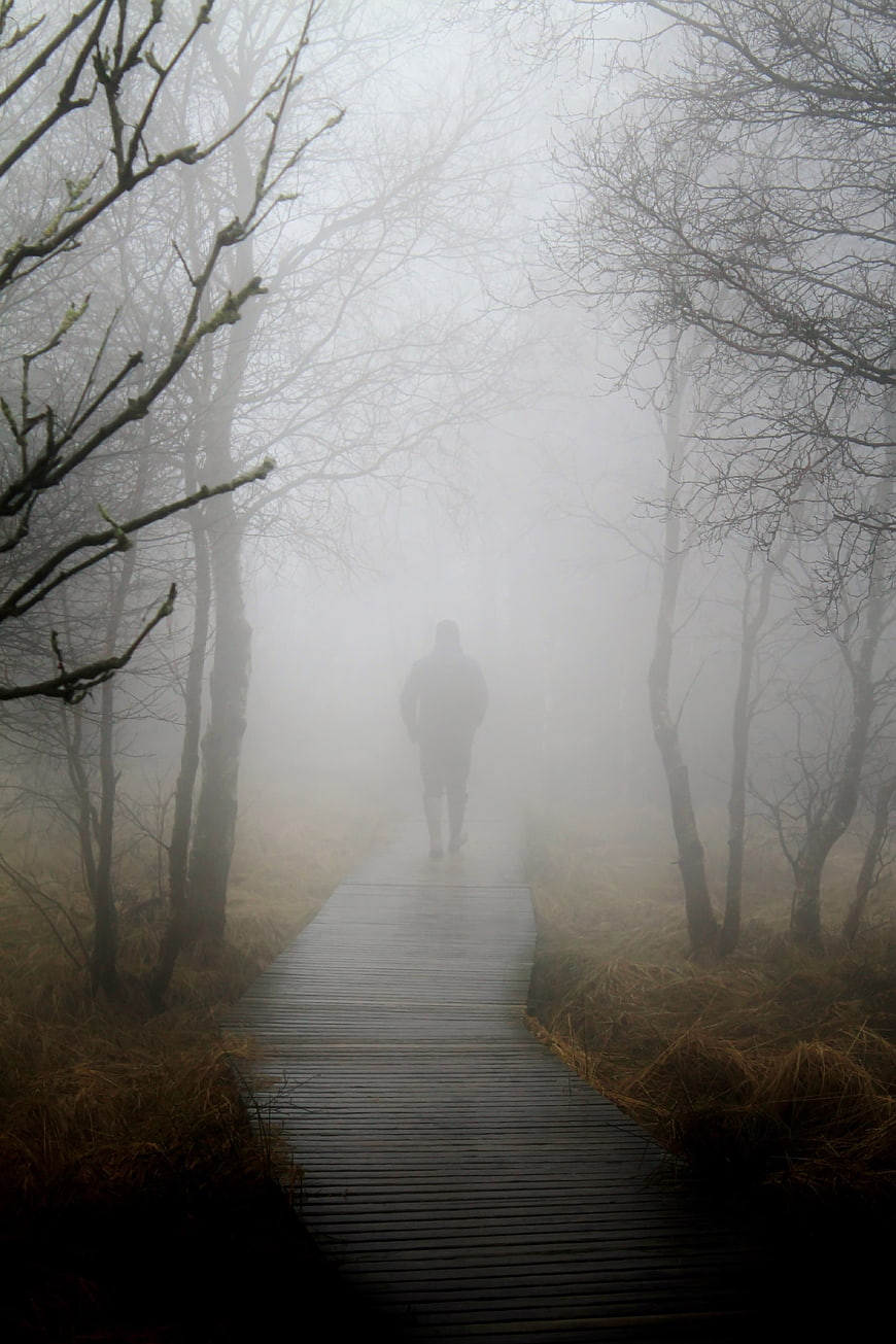 Silhouette of person walking on foggy wooden boardwalk in forest