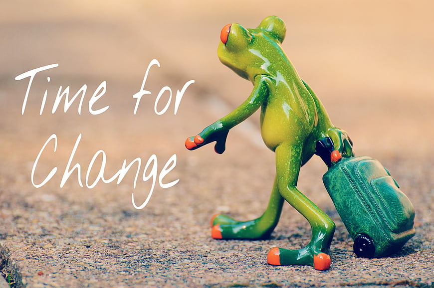 Green frog figurine with suitcase symbolizing change and travel