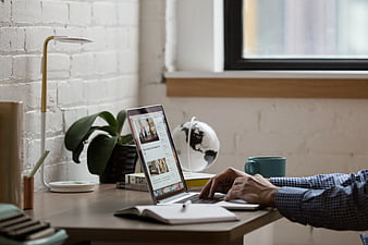 Man Typing on Laptop at Modern Wooden Desk with Coffee