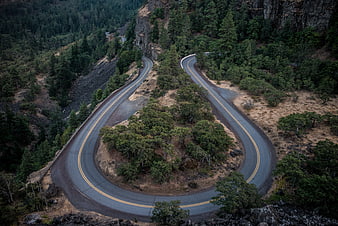 Aerial View of Winding Mountain Road Through Forest