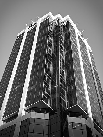 Low angle black and white modern skyscraper architecture