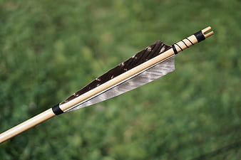 Traditional Wooden Arrow with Feathers on Green Background