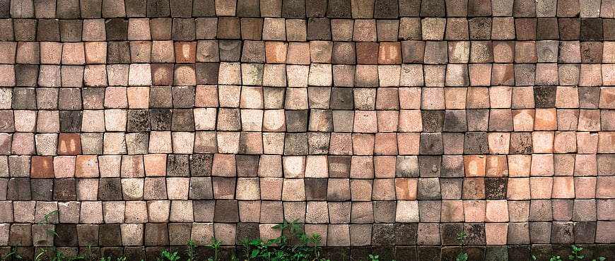 Textured stone block wall background with green plants