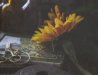 Vintage Sunflower Still Life with Book and Scissors